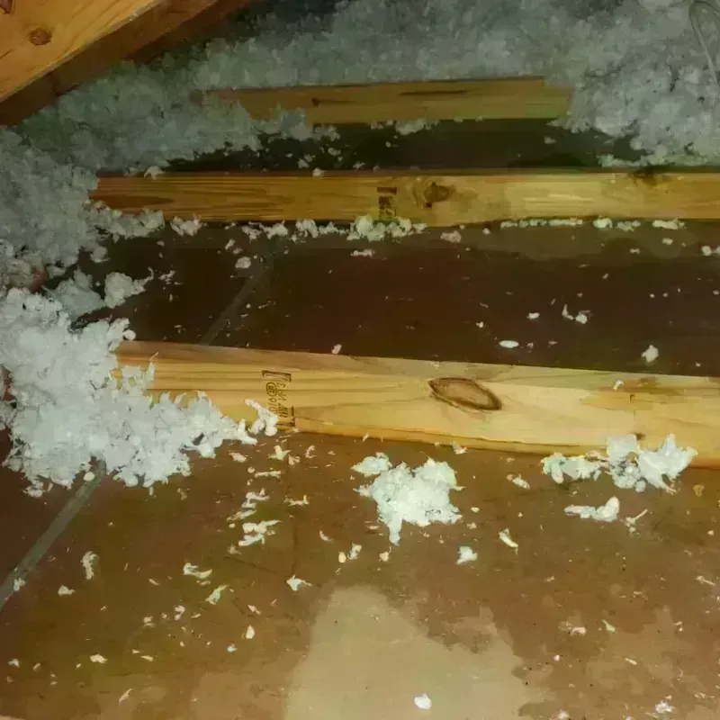 Attic Water Damage in Saint Hedwig, TX