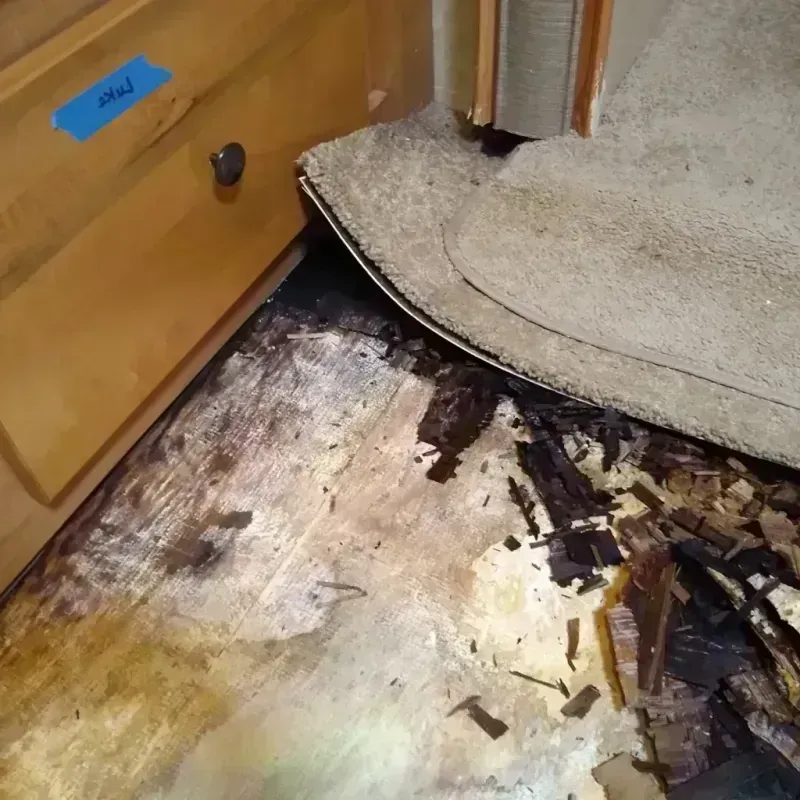 Wood Floor Water Damage in Saint Hedwig, TX